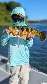 Gamboa Report Photo 1