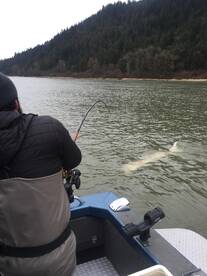 Chilliwack Report Photo 1