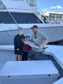 Light tackle Kingfish and Snapper. Hot b