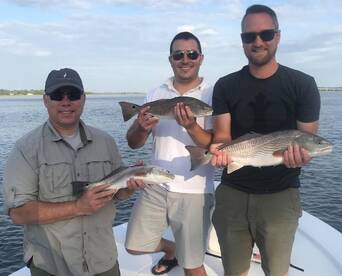 MULTIPLE triple and double hook ups all 