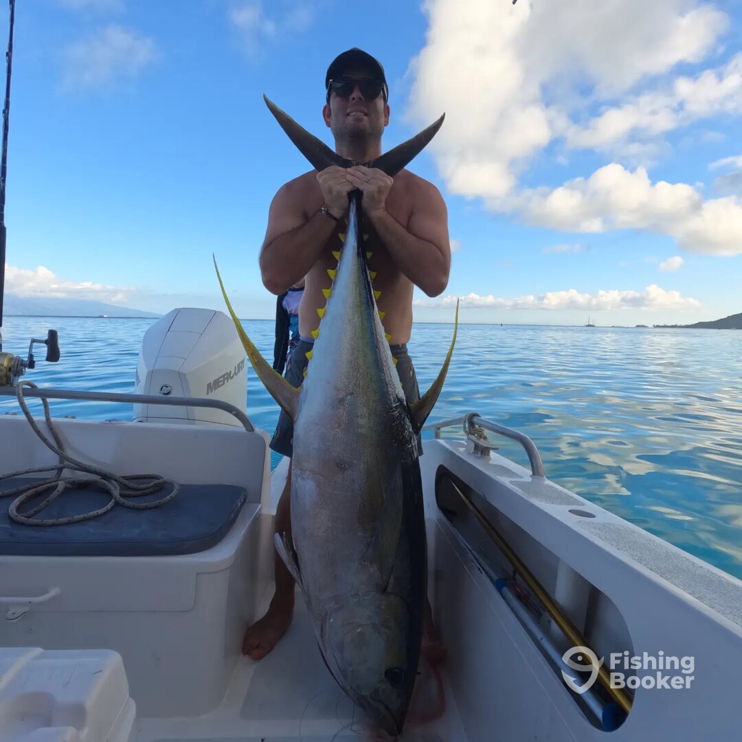 Moorea-Maiao Report Photo 0