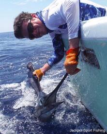 Quepos Report Photo 1