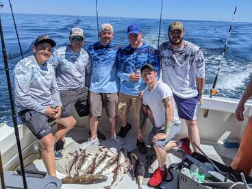 Gloucester Report Photo 1