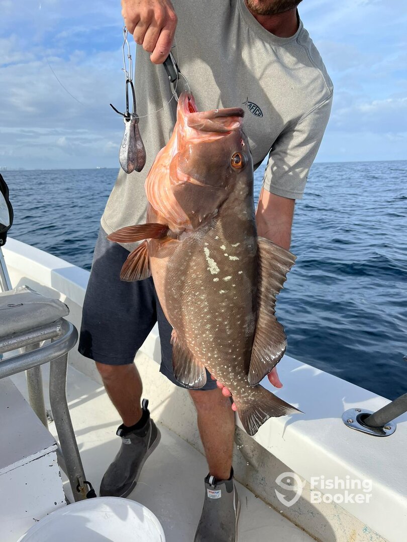 Fort Lauderdale Report Photo 0