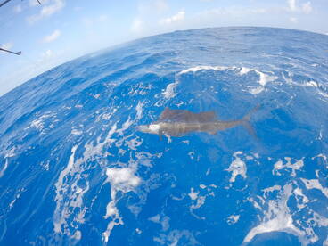 Fishing is fishing!!