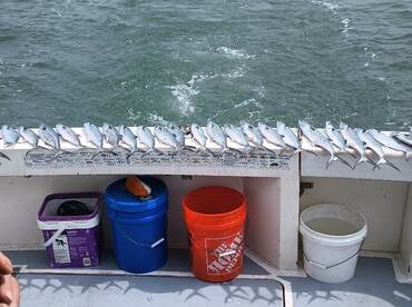 Nicer weather and fishing picking up