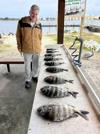 Jacksonville Report Photo 2