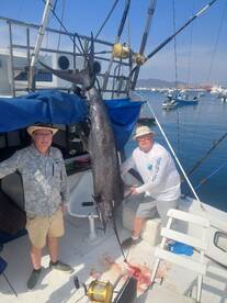Manzanillo Report Photo 2