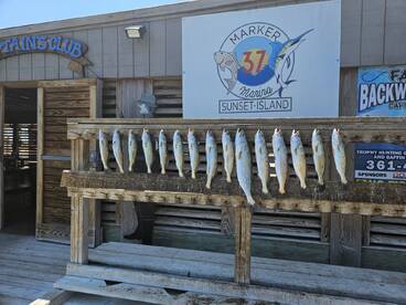 Fishing remains great! 