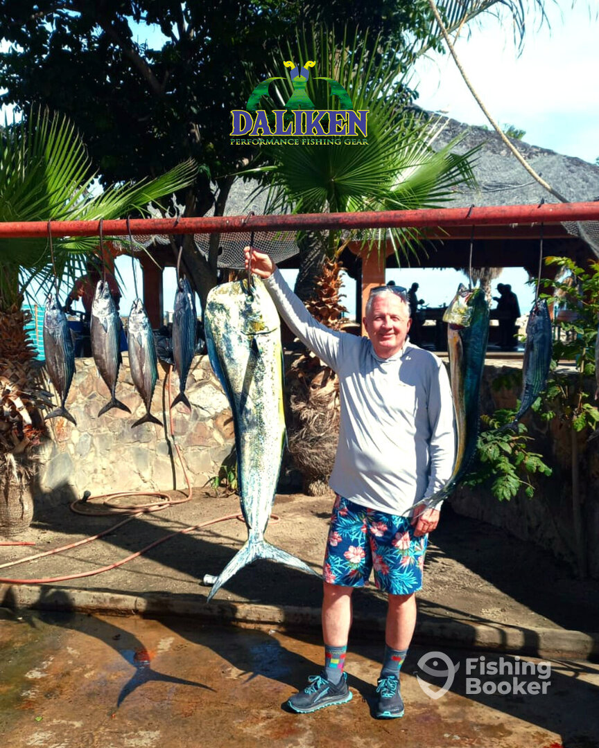 San Jose del Cabo Report Photo 0