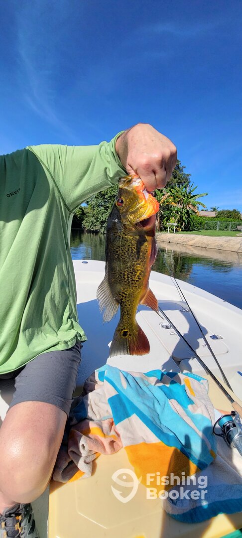 Bonita Springs Report Photo 0