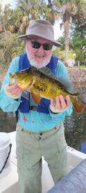 Bonita Springs Report Photo 2