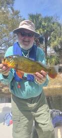Bonita Springs Report Photo 1