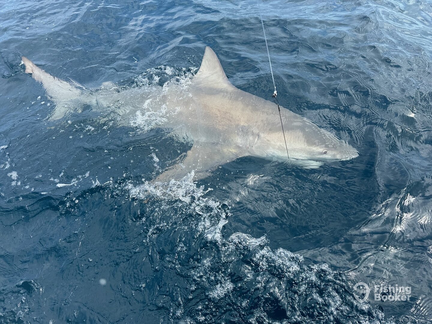 Boynton Beach Report Photo 0