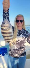 Marco Island Report Photo 1