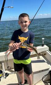 Fort Myers Report Photo 1