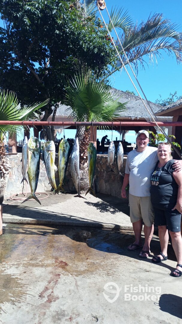 San Jose del Cabo Report Photo 0