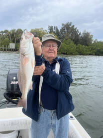 Bradenton Report Photo 2