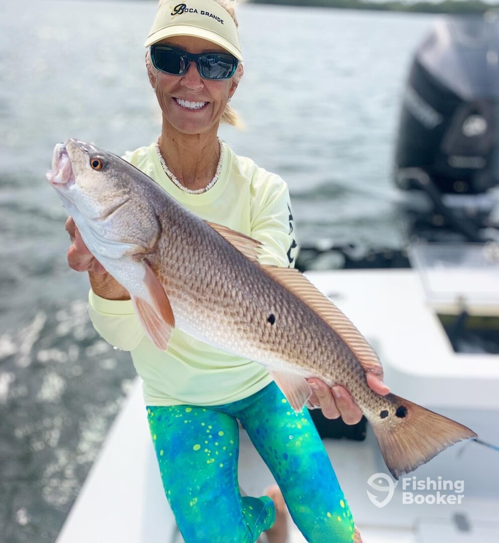 Tarpon Springs Report Photo 0