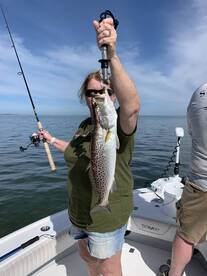 Tarpon Springs Report Photo 2