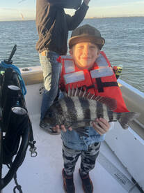 Galveston Report Photo 1