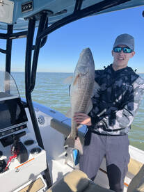 Redfish Frenzy