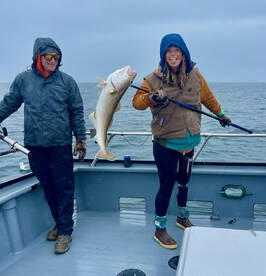 Seward Report Photo 1