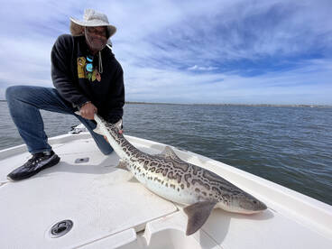 San Diego Bay Fishing Great