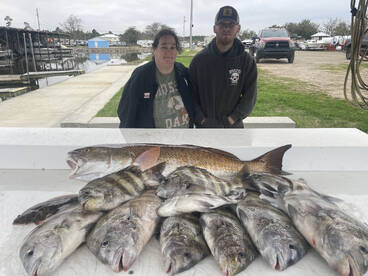Sheepshead roundup