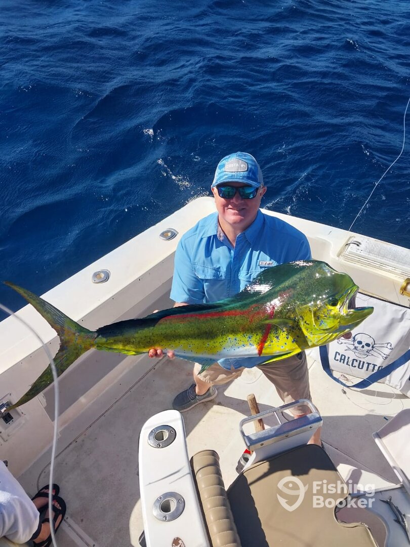 Cabo San Lucas Report Photo 0