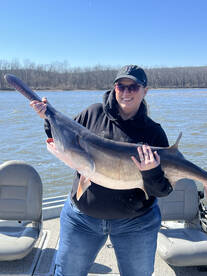 Spoonbill are moving up to spawn, Awesom