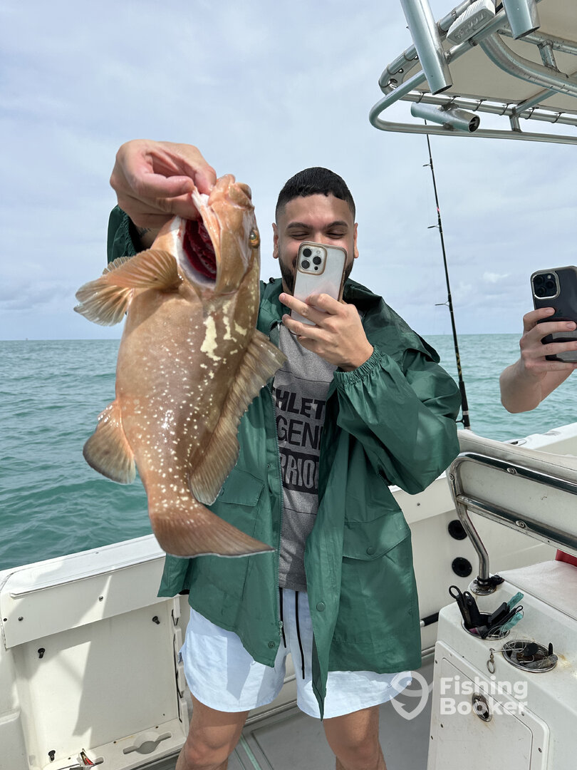 Miami Report Photo 0