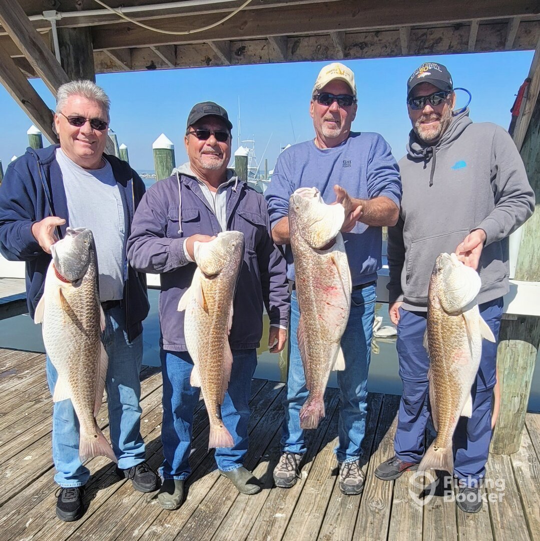 Fort Morgan Report Photo 0