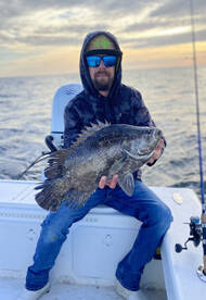 Tasty Fun Fighting Treats