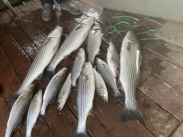 Time to book that Trip! 