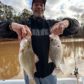 Atlanta Report Photo 2