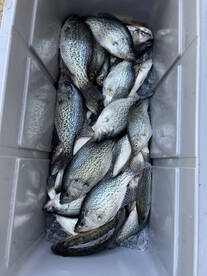 Crappie Time!!!