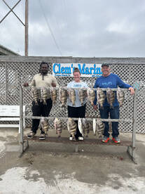 Corpus Christi Report Photo 2