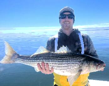 Experience world class striped bass fish