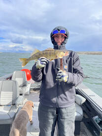 Hot walleye action in march