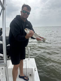 Bunchs of Trout!