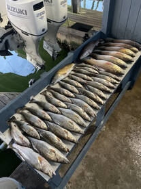 The water temps are getting warmer and t