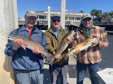 Fernandina Beach Report Photo 1