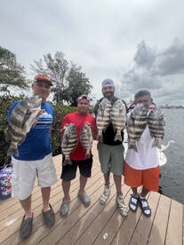 Holmes Beach Report Photo 1