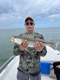Tarpon Springs Report Photo 1
