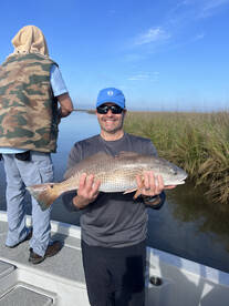 Redfish