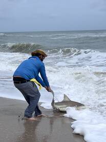 Cocoa Beach Report Photo 2