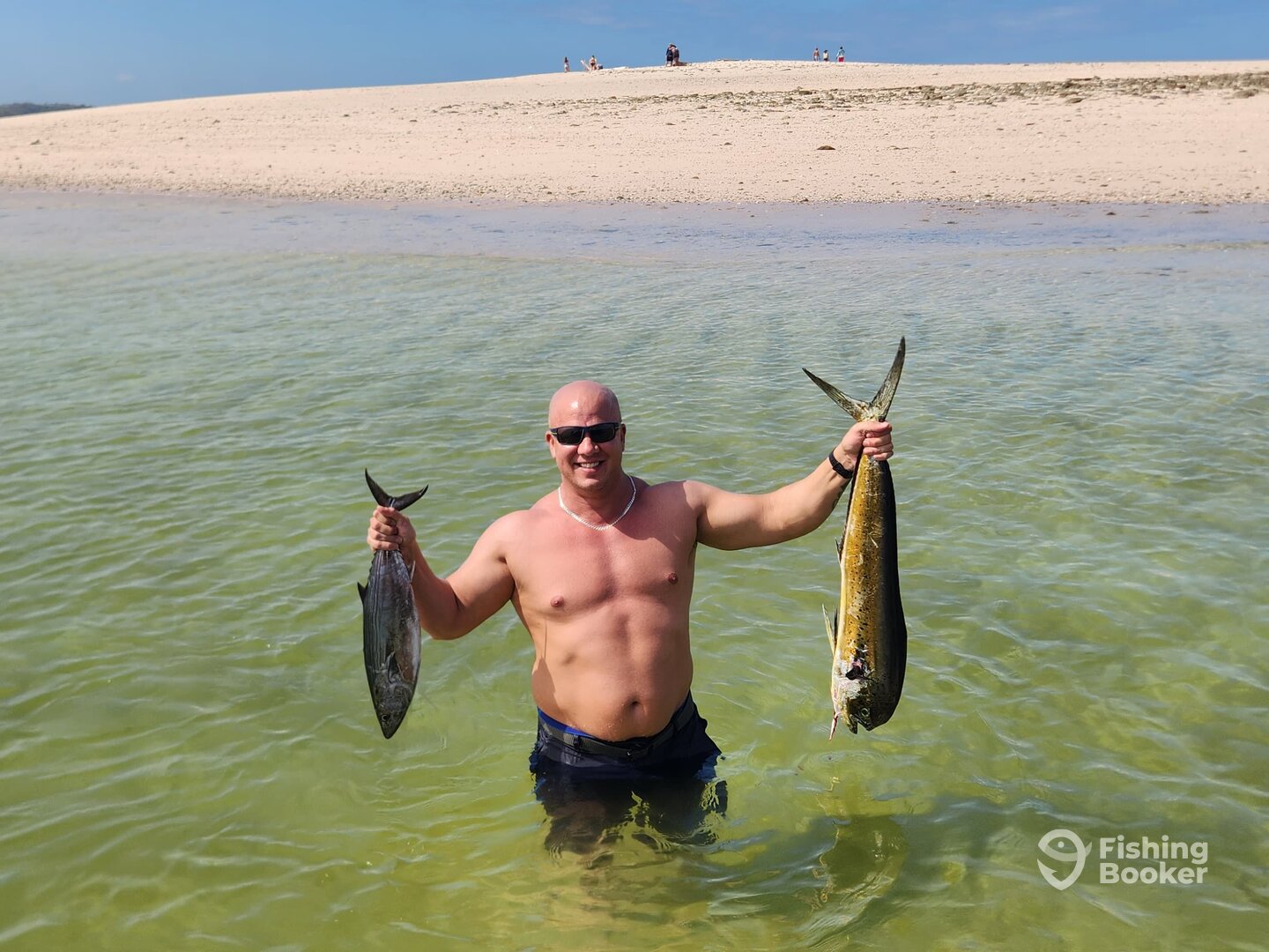 Mahi mahi (rare during summer) & tuna albacore