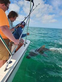 Summerland Key Report Photo 2
