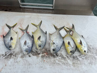 Port Canaveral Pompano!!